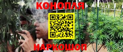 каннабис Малгобек