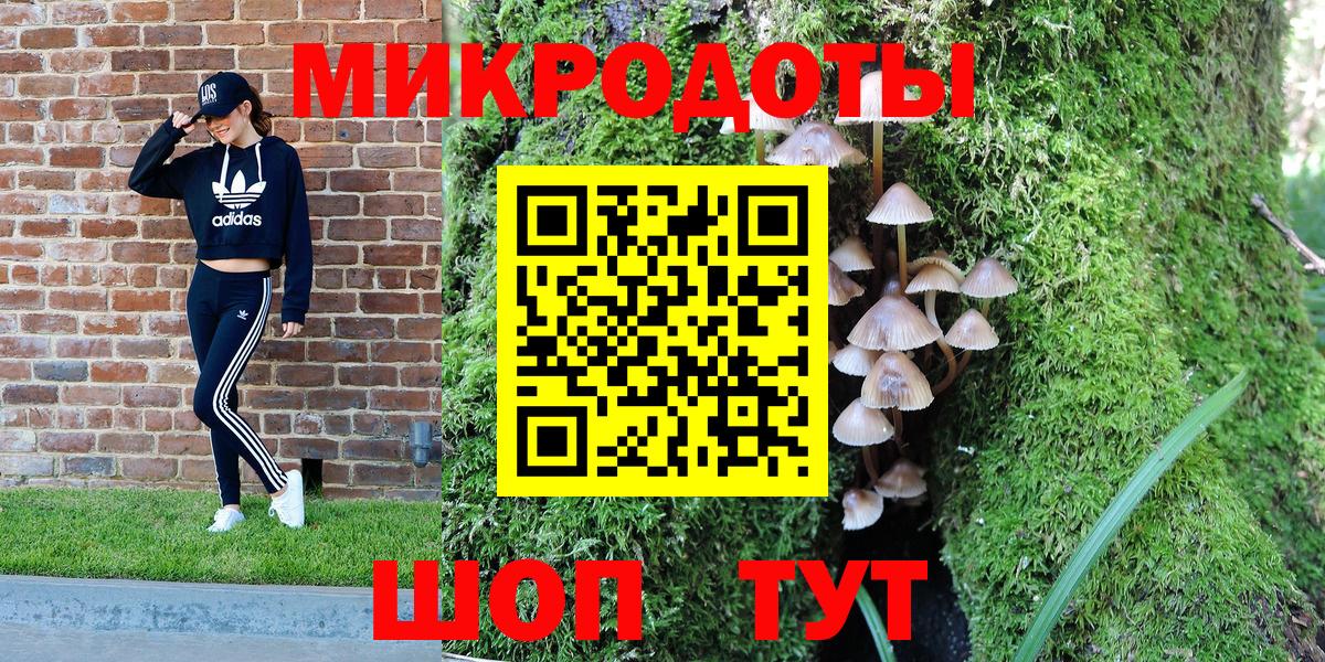 Галлюциногенные грибы мицелий Камышлов
