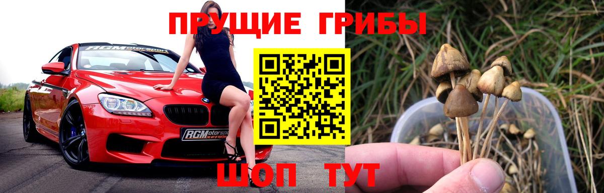 что такое наркотик  Вход с VPN  Галлюциногенные грибы мицелий  Камышлов  Галлюциногенные грибы прущие грибы 