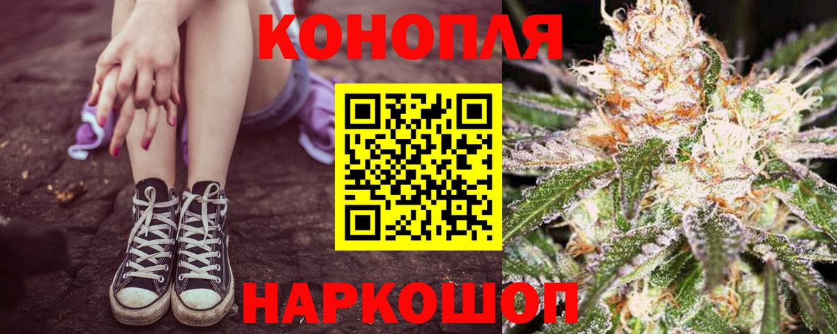 Шишки марихуана Amnesia Камышлов