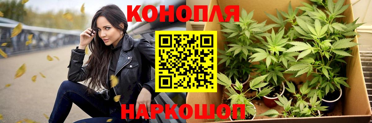 Бошки Шишки THC 21%  Каннабис Bruce Banner  Вход с VPN  Камышлов  Бошки марихуана LSD WEED 
